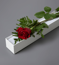 Load image into Gallery viewer, Love