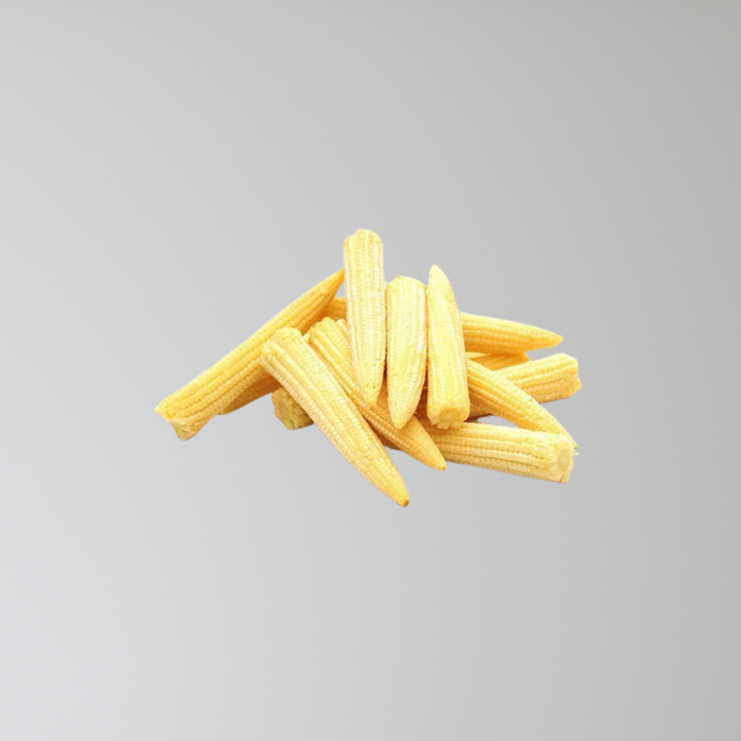 Baby Corn Seedling