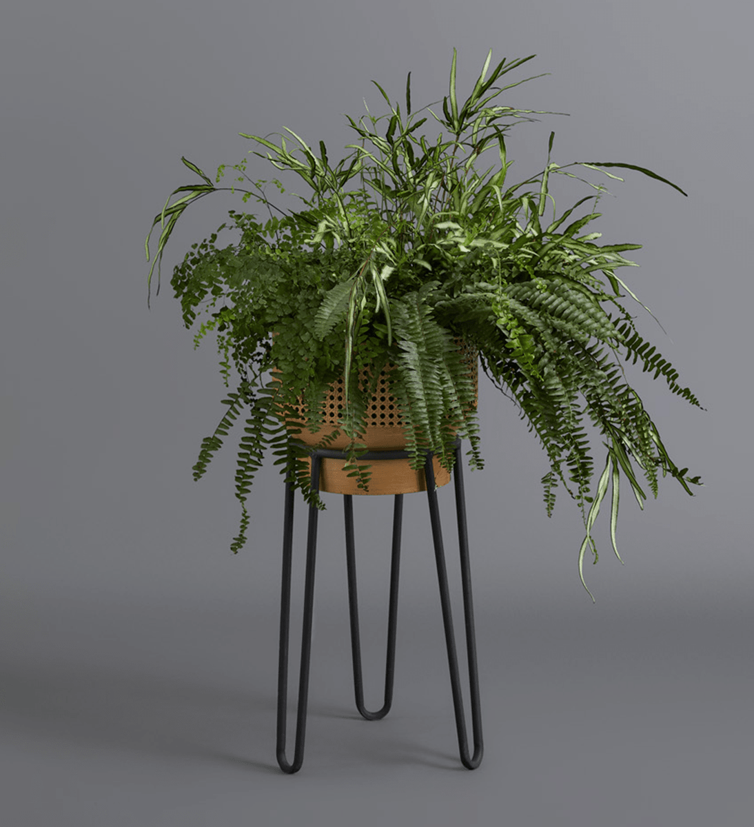 Mixed Hanging Baskets doncasterflorist